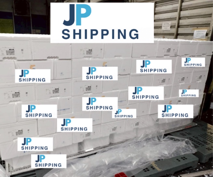 ภาพงานขนส่งและเคลียร์สินค้า JP Shipping